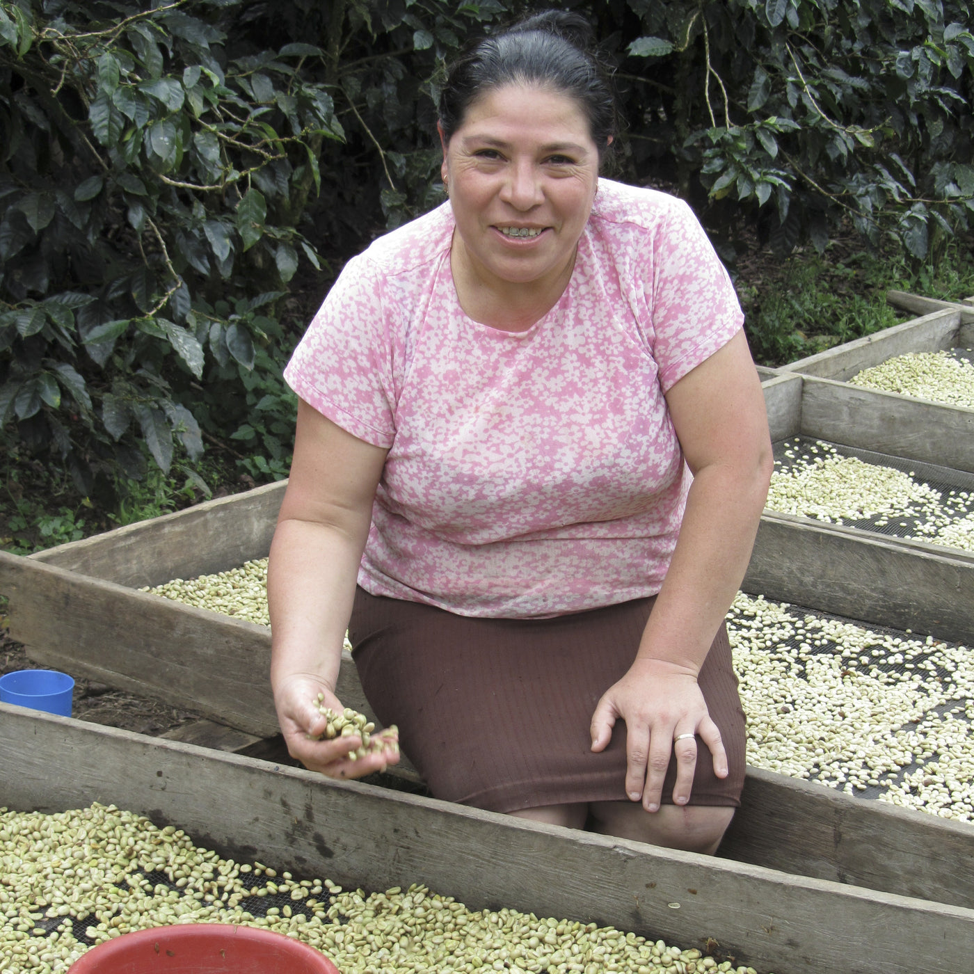 Woman sorting coffee beans in a wooden tray outdoors