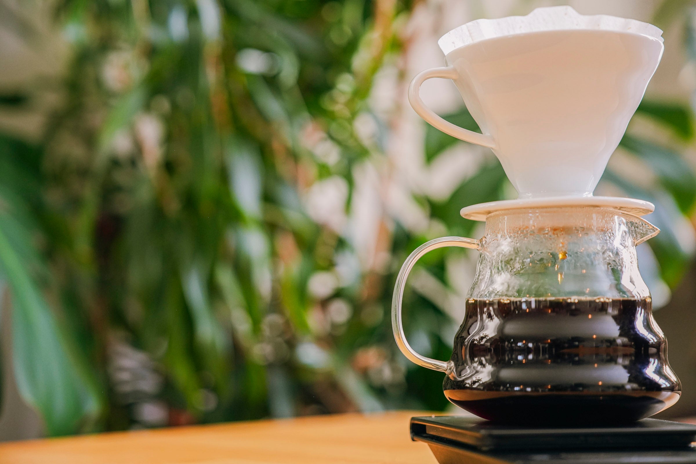 wholesale specialty coffee pour over