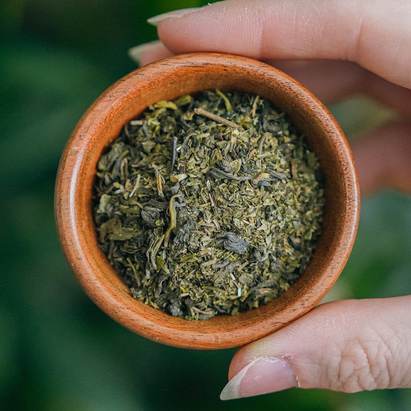 Moroccan Green & Mint