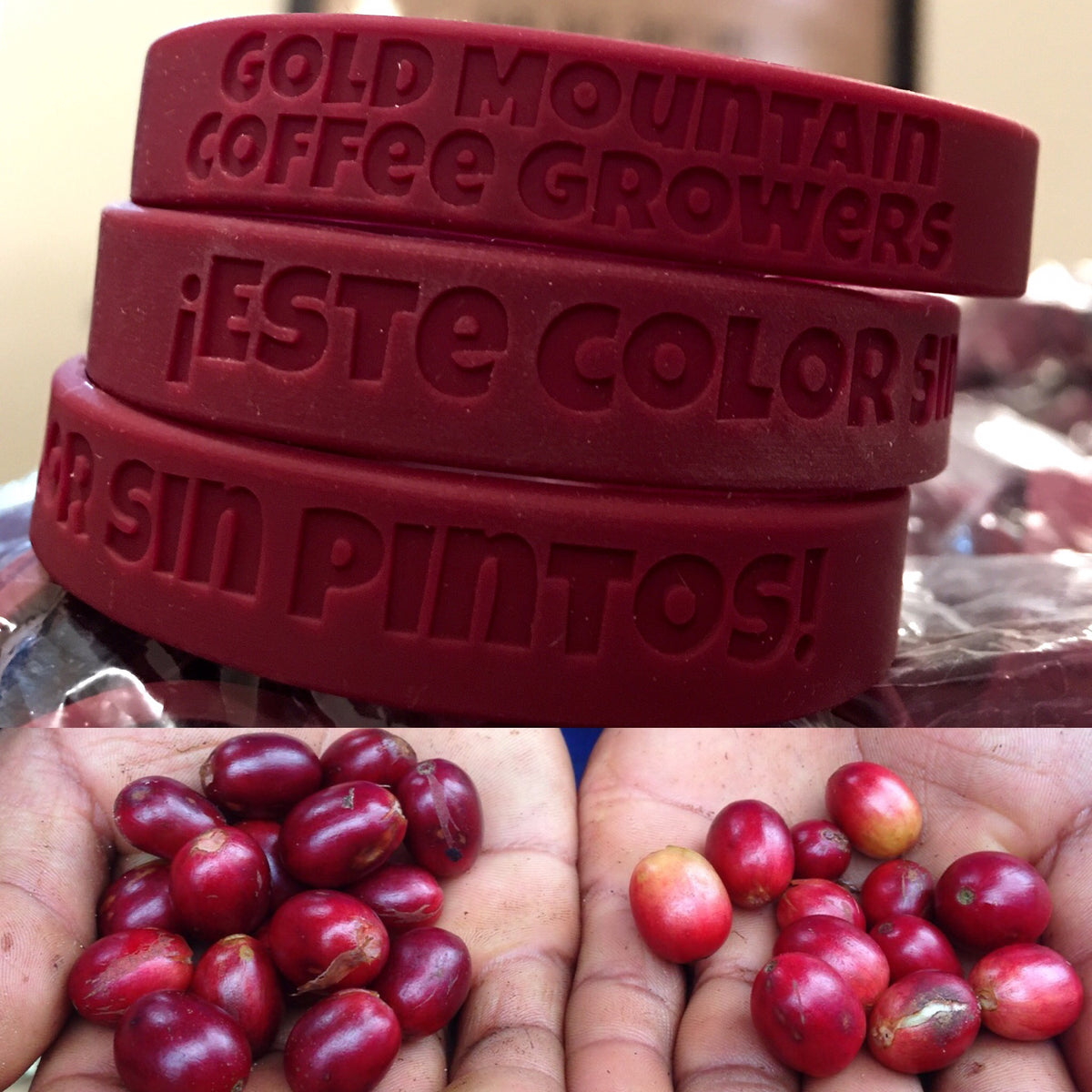 A discovery of Nicaragua